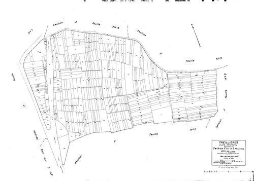 Treillières - Section F1 Ménardais (section de La). 1-263