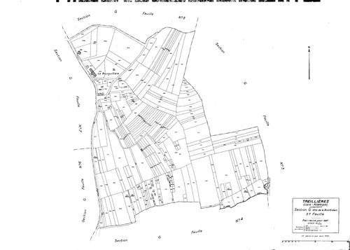 Treillières - Section G5 Noë-Violain (section de La). 1033-1267