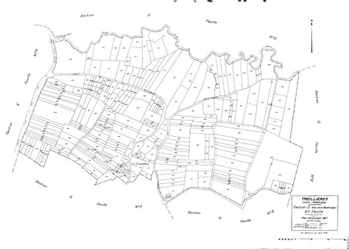 Treillières - Section G8 Noë-Violain (section de La). 1598-1871