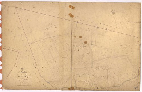 Treillières - Section A1 Muzon (section de)