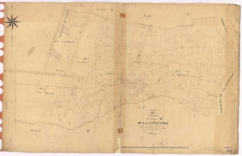 Treillières - Section H3 Cathelinière (section de La)