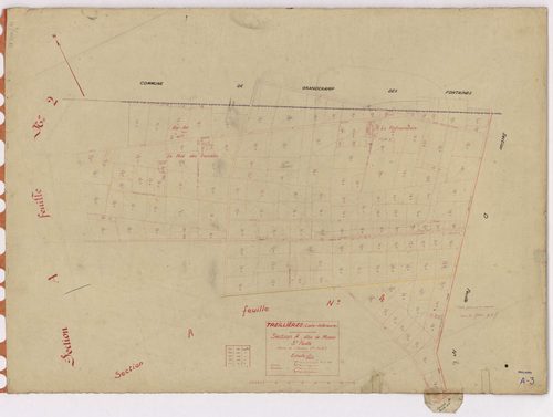 Treillières - Section A3 Muzon (section de) ; 311-494
