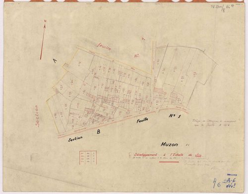 Treillières - Section A6 (développement) Muzon (section de) ; 772-938 ; développement du village de Muzon