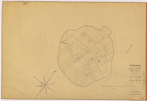 Trignac - Section L1 (développement) 1-669 ; développement de diverses parcelles