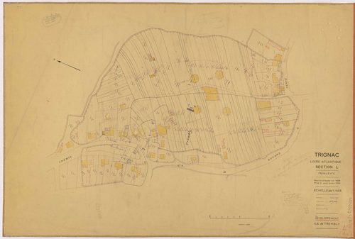 Trignac - Section L2 (développement) 670-1490 ; développement de l'île de Trembly