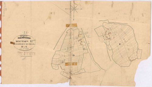 Trignac - Section L3 (développement) Aîne (section d') ; développement des polygônes D et E