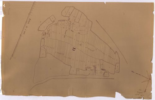 Trignac - Section L3 (développement) Aîne (section d') ; développement du polygône D