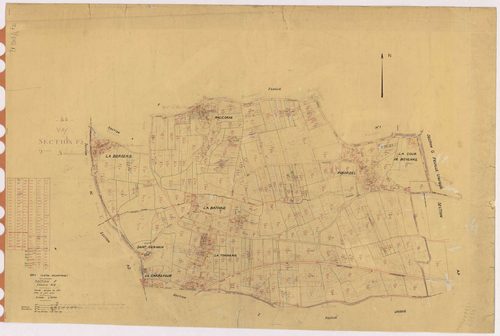Vay - Section F2 421-803