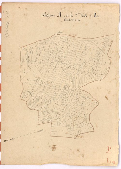 Vertou - Section L2 (développement) Portillon (section de) ; développement de diverses parcelles