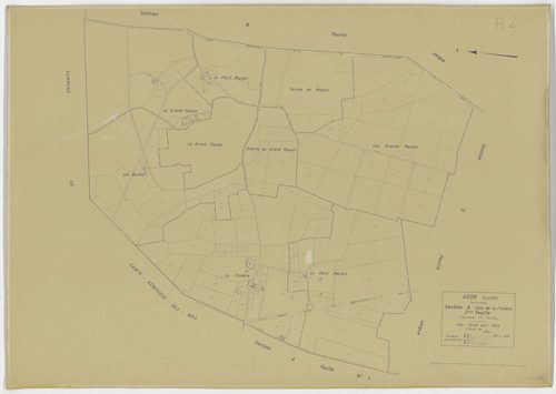 Adon - Sections