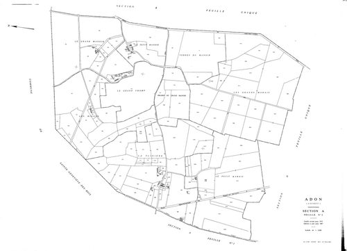 Adon - Sections