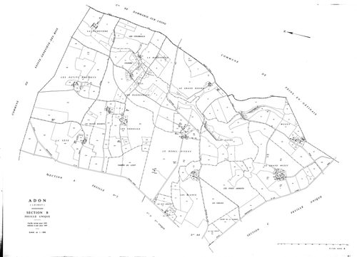 Adon - Sections