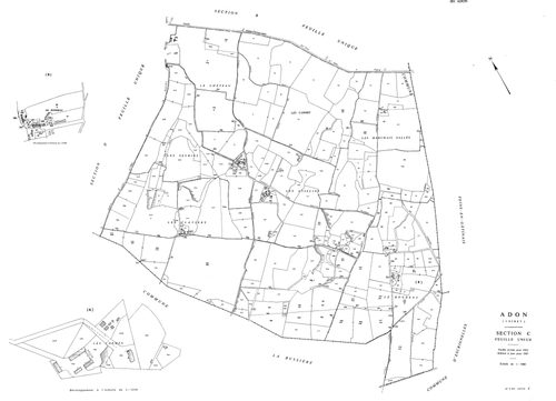 Adon - Sections
