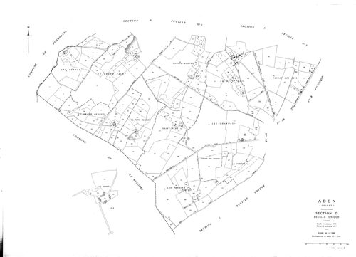 Adon - Sections