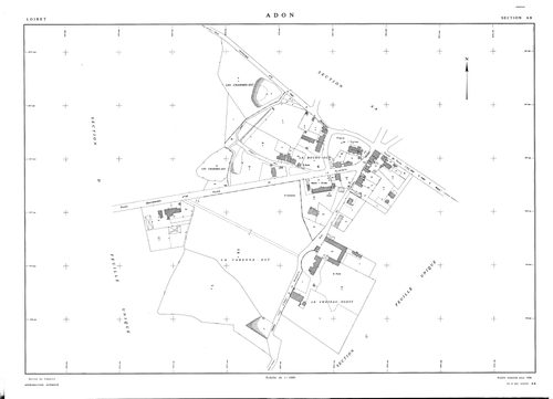 Adon - Sections
