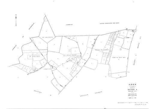 Adon - Sections