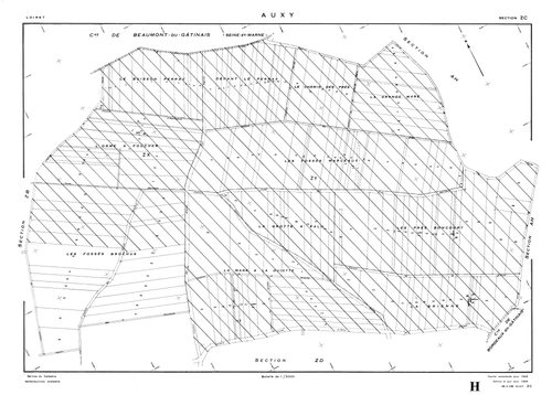 Auxy - Sections