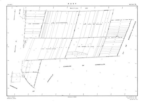 Auxy - Sections