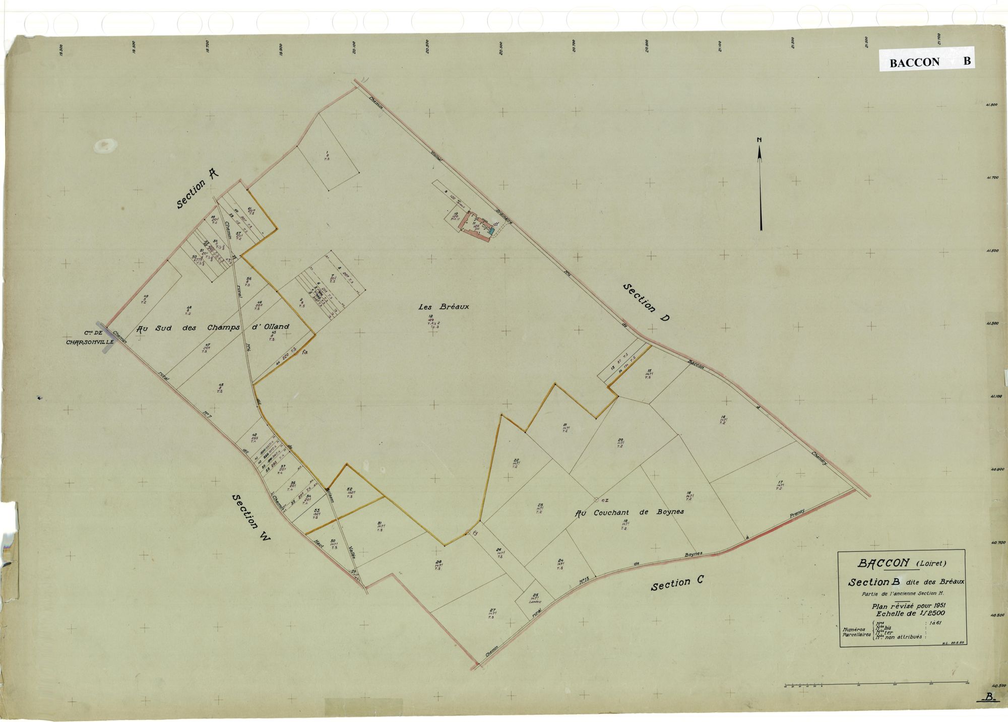 Baccon - Sections