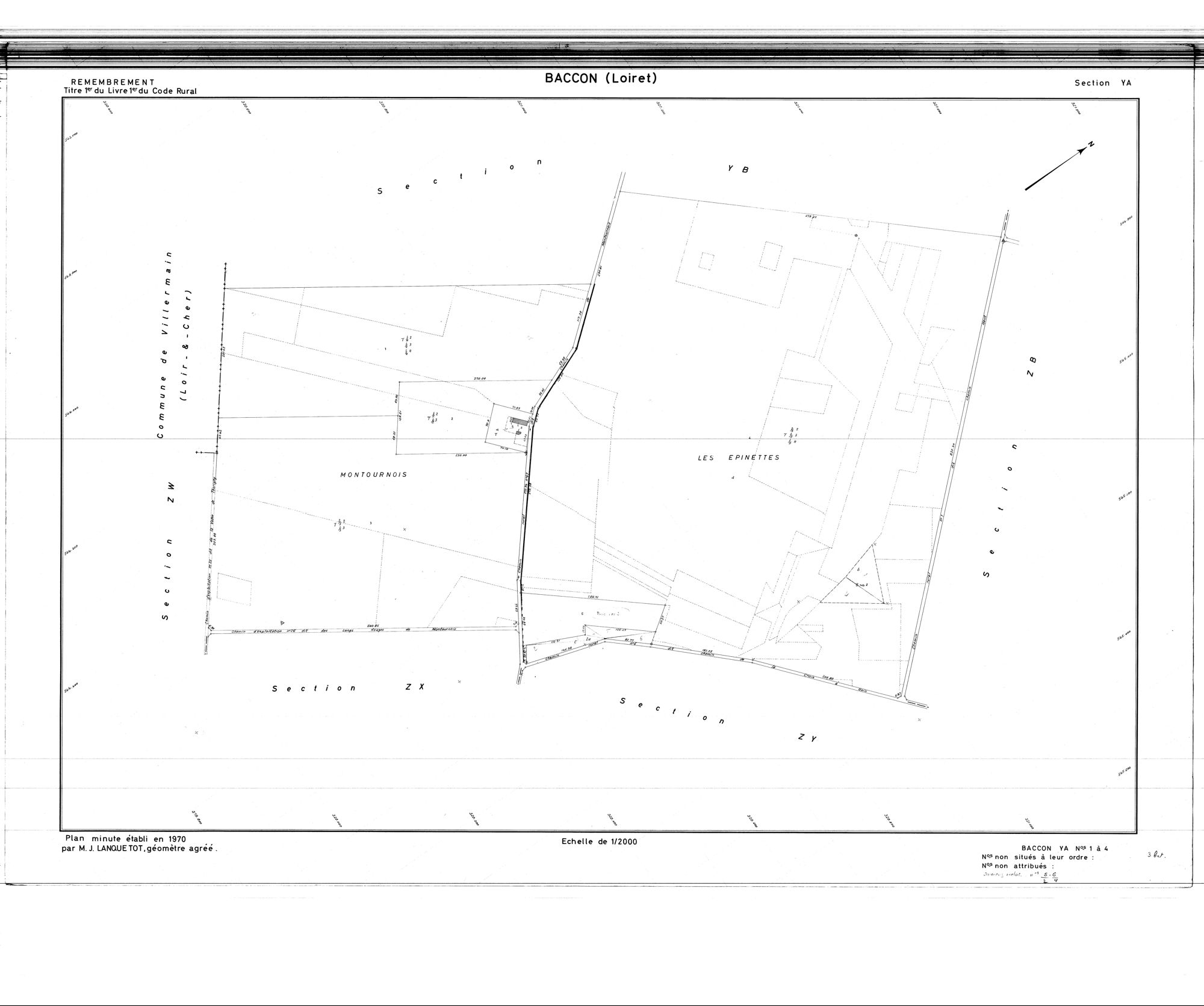 Baccon - Sections