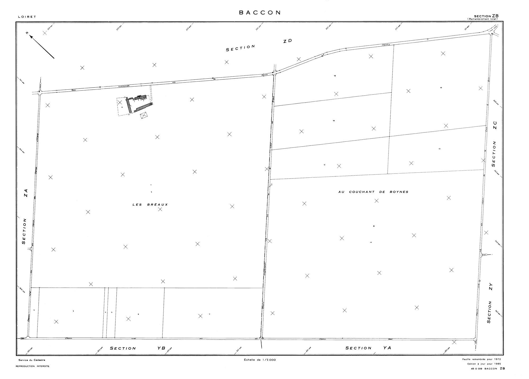 Baccon - Sections