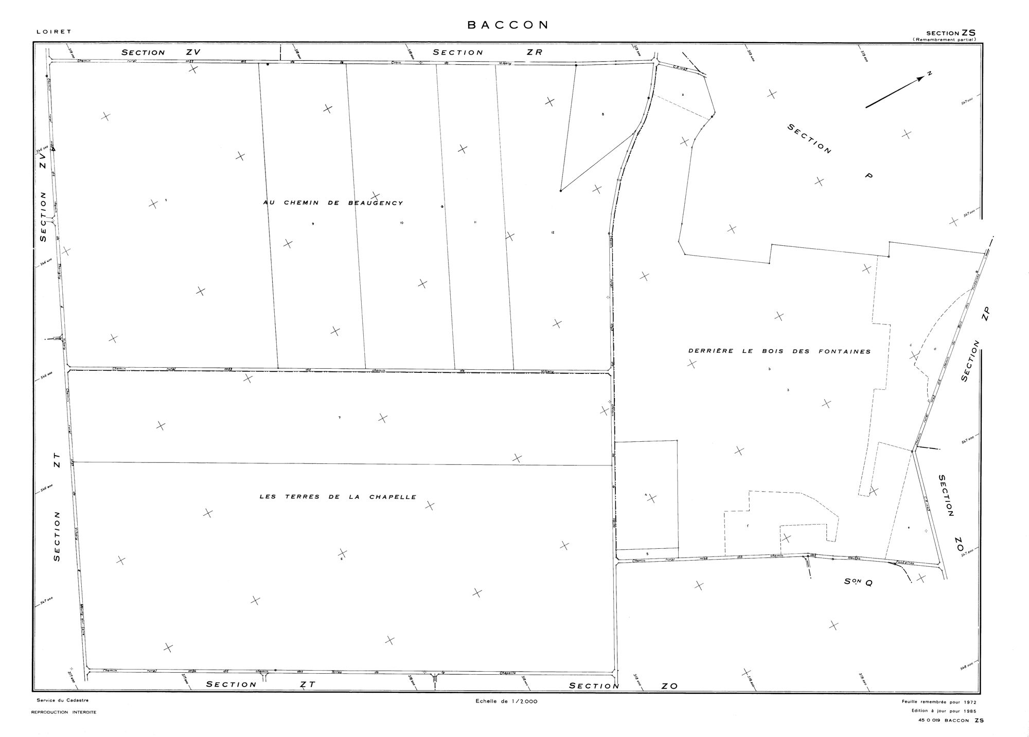 Baccon - Sections