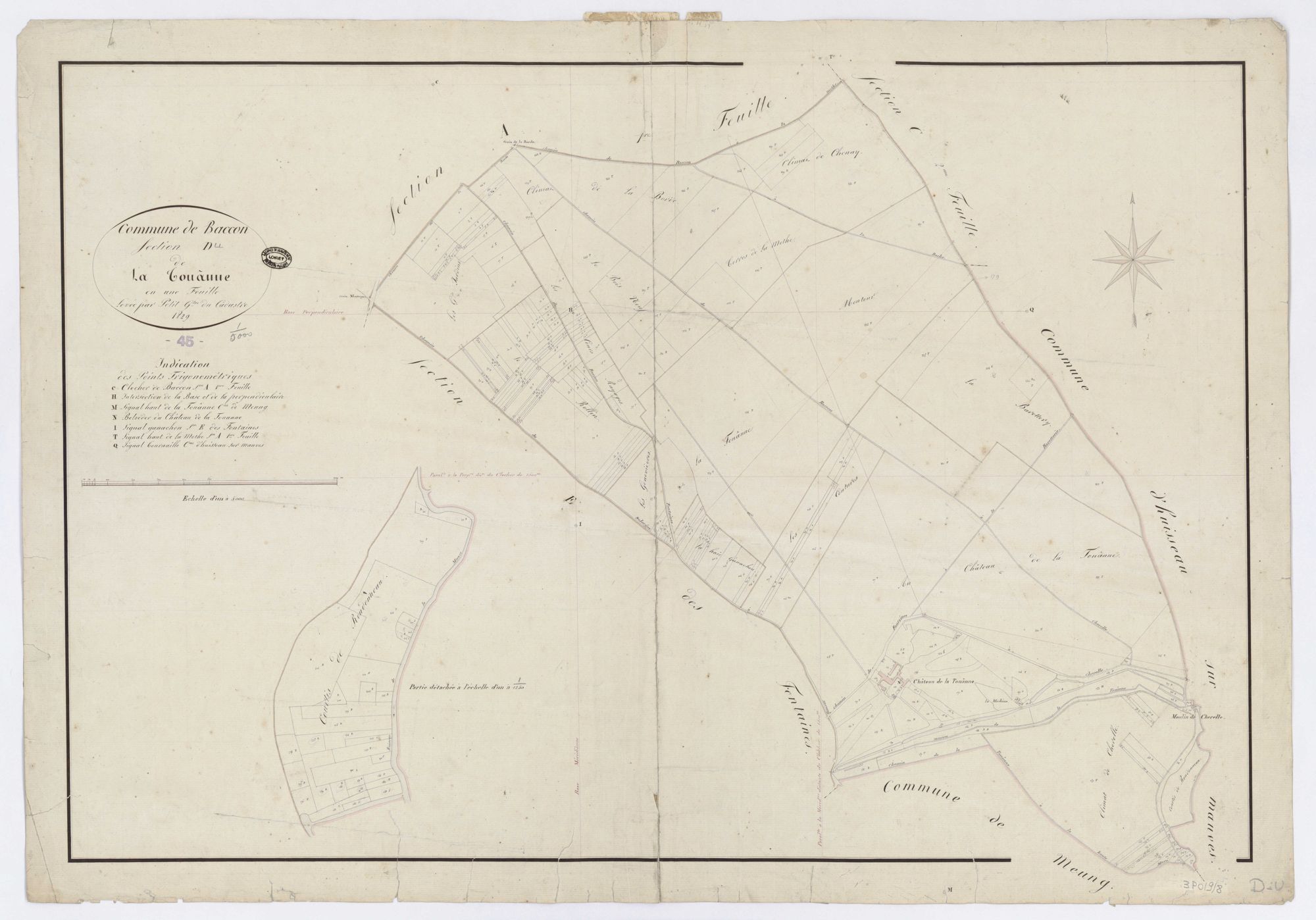 Baccon - Sections