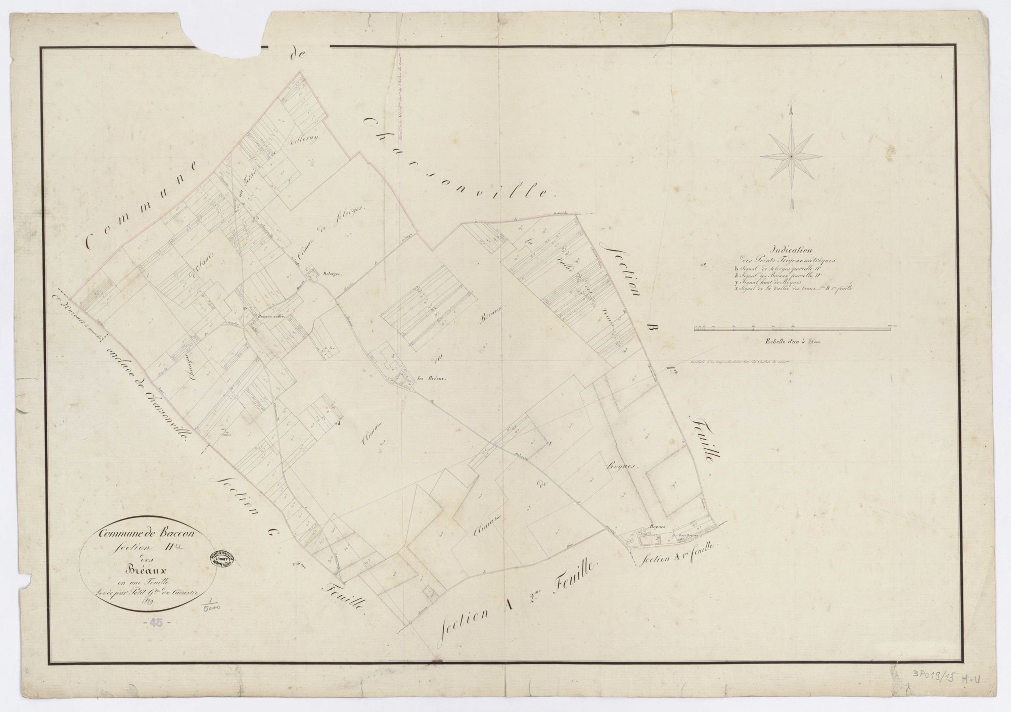 Baccon - Sections