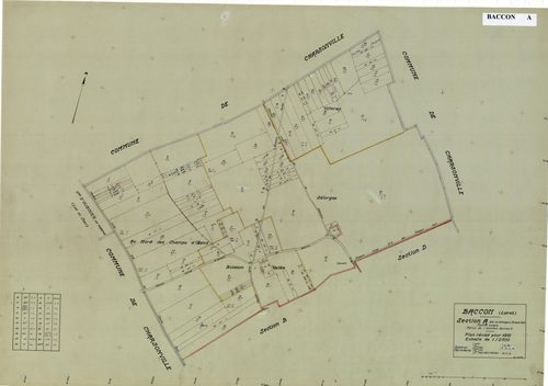 Baccon - Sections