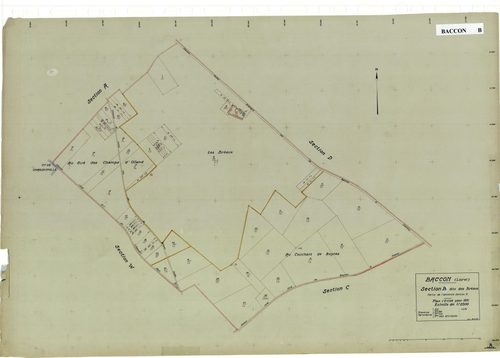 Baccon - Sections
