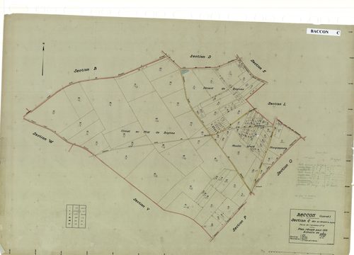 Baccon - Sections