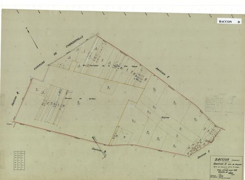 Baccon - Sections