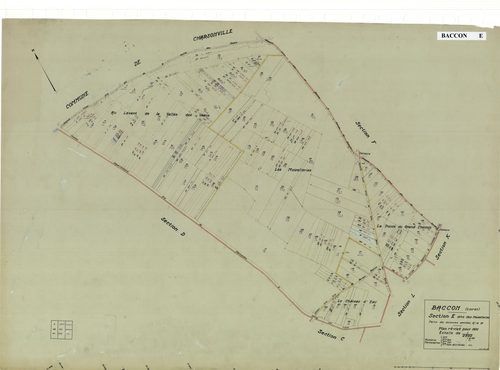 Baccon - Sections