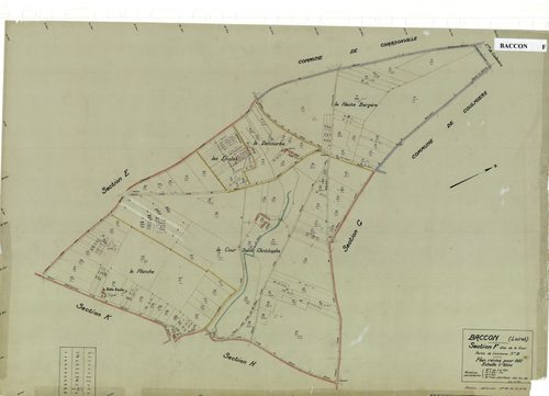 Baccon - Sections