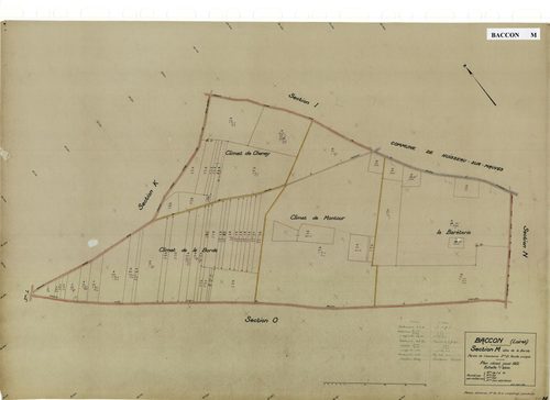 Baccon - Sections