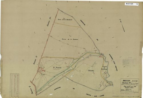 Baccon - Sections