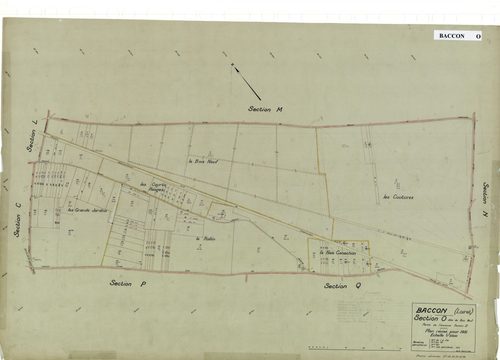 Baccon - Sections