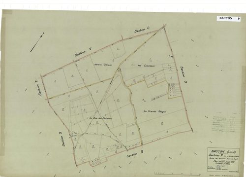 Baccon - Sections