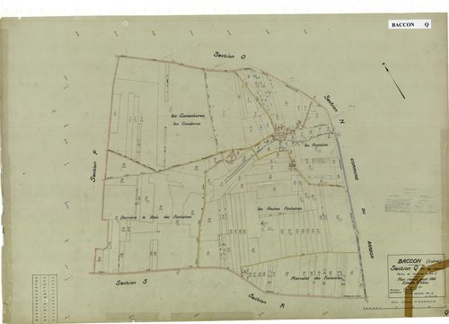 Baccon - Sections