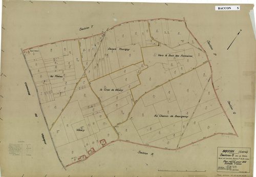 Baccon - Sections