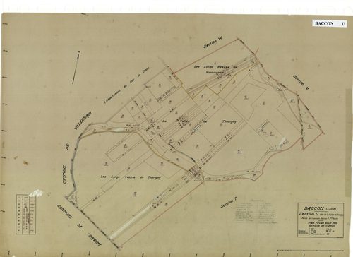 Baccon - Sections