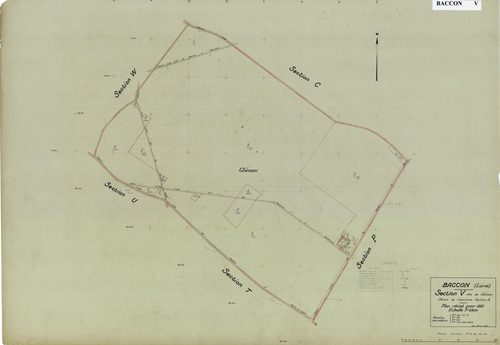 Baccon - Sections