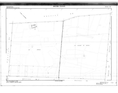 Baccon - Sections