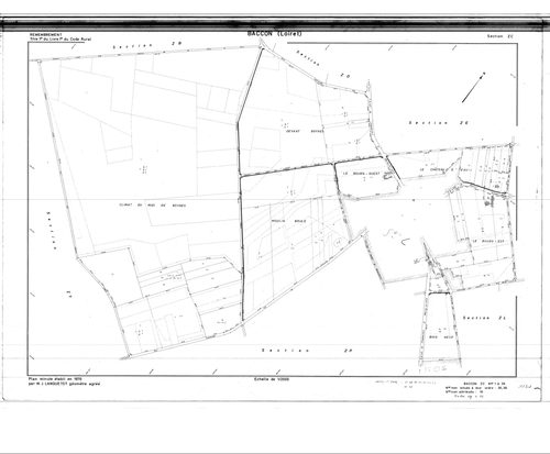 Baccon - Sections