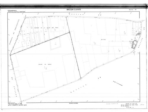 Baccon - Sections