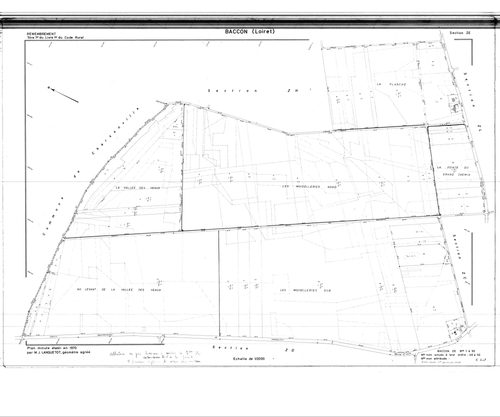 Baccon - Sections