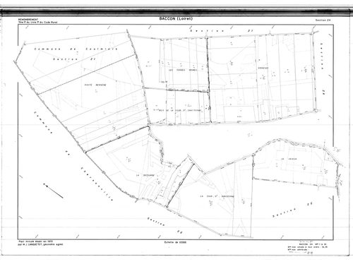Baccon - Sections