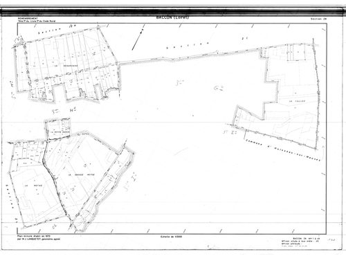 Baccon - Sections