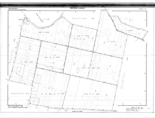 Baccon - Sections