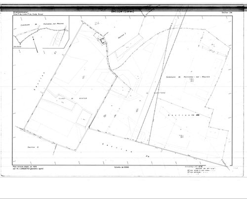Baccon - Sections